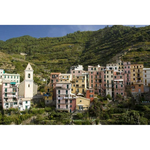 Italy, Manarola Town and terraced vineyards Black Modern Wood Framed Art Print by Kaveney, Wendy