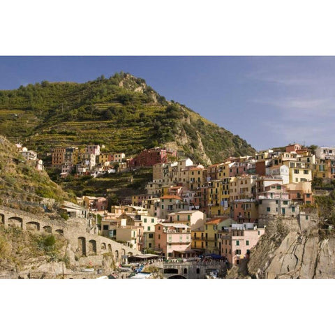 Italy, Manarola Town and terraced vineyards Black Modern Wood Framed Art Print by Kaveney, Wendy