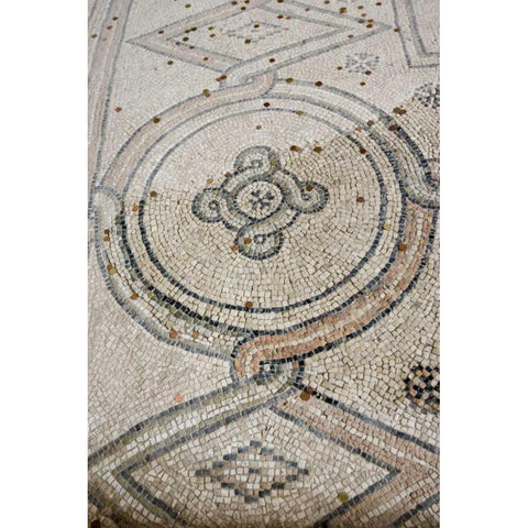 Italy, Ravenna Church of St Apollinare mosaic Gold Ornate Wood Framed Art Print with Double Matting by Kaveney, Wendy