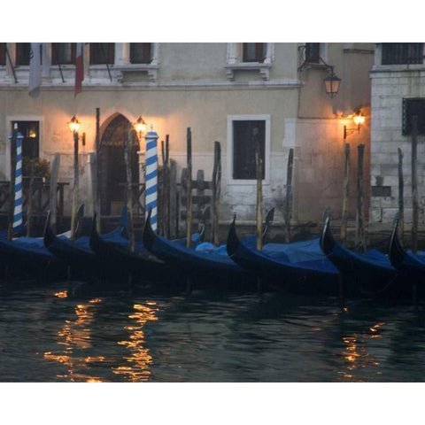 Italy, Venice Gondolas moored in early morning White Modern Wood Framed Art Print by Young, Bill