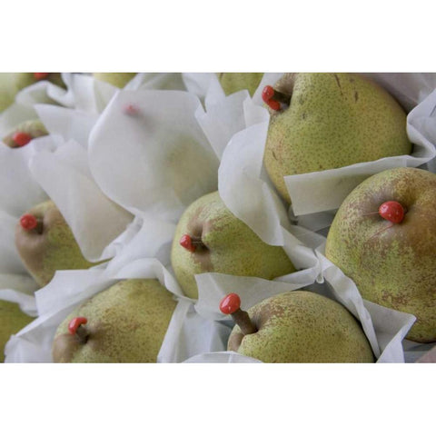 Italy, Venice Pears with red wax on stems Gold Ornate Wood Framed Art Print with Double Matting by Young, Bill