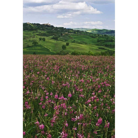 Italy, Pienza Medieval town seen on hilltop White Modern Wood Framed Art Print by Flaherty, Dennis