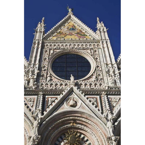 Italy, Tuscany Facade of the Duomo cathedral Black Modern Wood Framed Art Print with Double Matting by Flaherty, Dennis