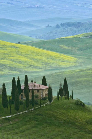 Italy, Tuscany Beautiful green countryside Black Ornate Wood Framed Art Print with Double Matting by Flaherty, Dennis