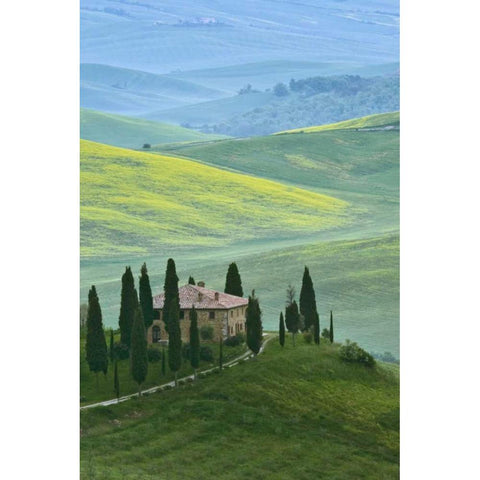 Italy, Tuscany Beautiful green countryside Black Modern Wood Framed Art Print with Double Matting by Flaherty, Dennis