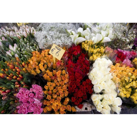 Italy, Venice Flowers for sale in a market White Modern Wood Framed Art Print by Kaveney, Wendy