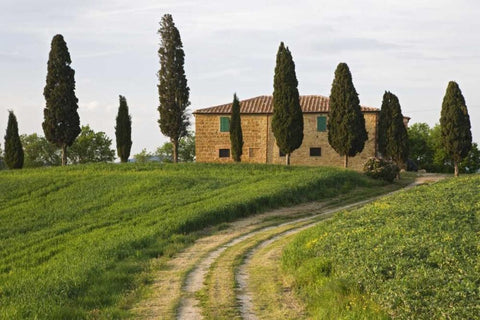 Italy, Tuscany, Pienza View of countryside villa White Modern Wood Framed Art Print with Double Matting by Flaherty, Dennis