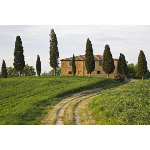 Italy, Tuscany, Pienza View of countryside villa Black Modern Wood Framed Art Print with Double Matting by Flaherty, Dennis