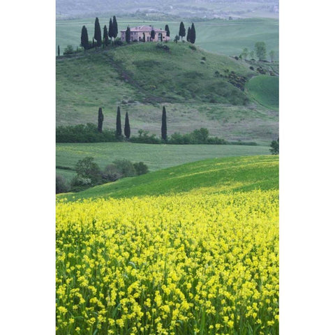 Italy, Tuscany Villa on a countryside hill Black Modern Wood Framed Art Print by Flaherty, Dennis