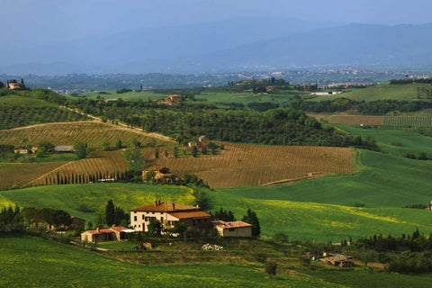 Italy, Tuscany Val dOrcia countryside Black Ornate Wood Framed Art Print with Double Matting by Flaherty, Dennis