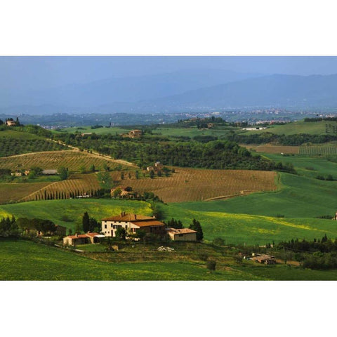 Italy, Tuscany Val dOrcia countryside White Modern Wood Framed Art Print by Flaherty, Dennis