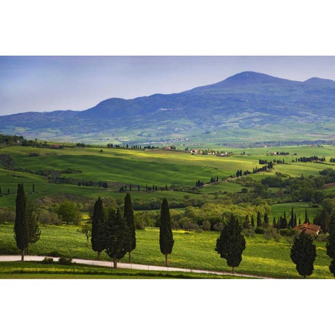 Italy, Tuscany Scenic of the Tuscan countryside Black Modern Wood Framed Art Print with Double Matting by Flaherty, Dennis