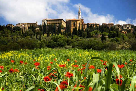 Italy, Poppies bloom below Pienza village Black Ornate Wood Framed Art Print with Double Matting by Flaherty, Dennis