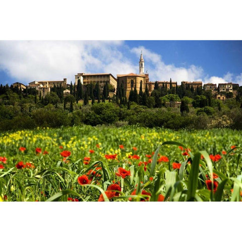 Italy, Poppies bloom below Pienza village Gold Ornate Wood Framed Art Print with Double Matting by Flaherty, Dennis