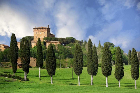 Italy, Tuscany A villa near the town of Pienza Black Ornate Wood Framed Art Print with Double Matting by Flaherty, Dennis