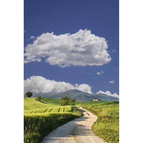 Italy, Tuscany Road leading to a villa White Modern Wood Framed Art Print by Flaherty, Dennis