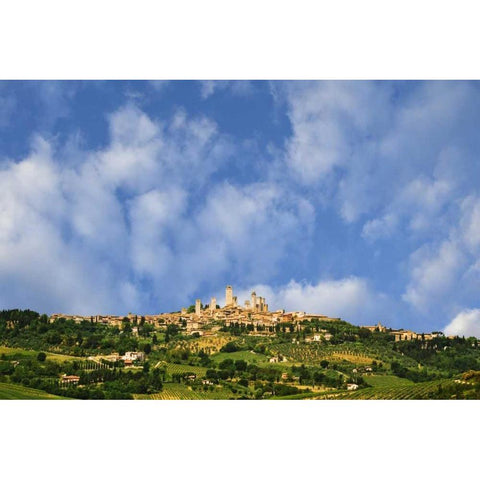 Italy, Tuscany Vineyards around hilltop town White Modern Wood Framed Art Print by Flaherty, Dennis