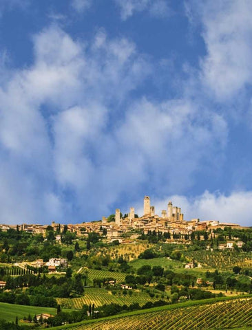 vineyards and hilltop town San Gimignano, Italy White Modern Wood Framed Art Print with Double Matting by Flaherty, Dennis