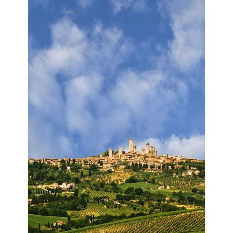 vineyards and hilltop town San Gimignano, Italy Black Modern Wood Framed Art Print by Flaherty, Dennis