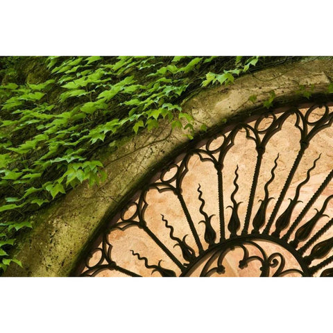 Italy, Tuscany Celsa Castle window detail Black Modern Wood Framed Art Print by Bush, Marie