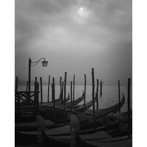 Europe, Italy, Venice Moored gondolas and fog Black Modern Wood Framed Art Print by Young, Bill