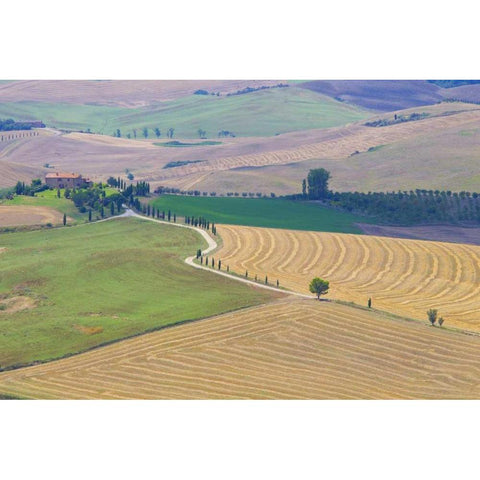Italy, Tuscany, Pienza Tuscan landscape Black Modern Wood Framed Art Print with Double Matting by Delisle, Gilles