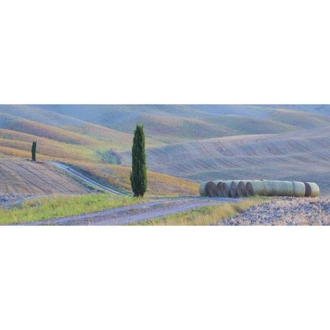 Italy, Tuscany Hay bales and farmland White Modern Wood Framed Art Print by Delisle, Gilles