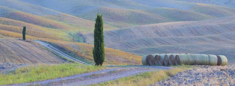 Italy, Tuscany Hay bales and farmland White Modern Wood Framed Art Print with Double Matting by Delisle, Gilles