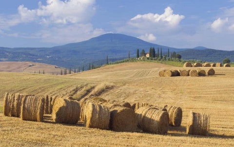 Italy, San Quirico dOrcia Bales of hay and farm Black Ornate Wood Framed Art Print with Double Matting by Delisle, Gilles