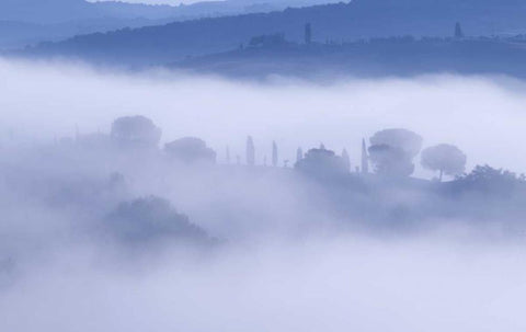 Italy, Tuscany, Pienza Morning fog over town Black Ornate Wood Framed Art Print with Double Matting by Delisle, Gilles