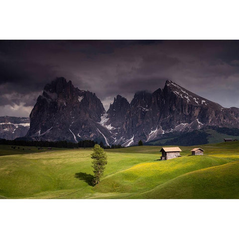 Europe-Italy-South Tirol-Alpine meadows with the Sasso Lungo and Sasso Piatto Mountains Black Modern Wood Framed Art Print by Jaynes Gallery