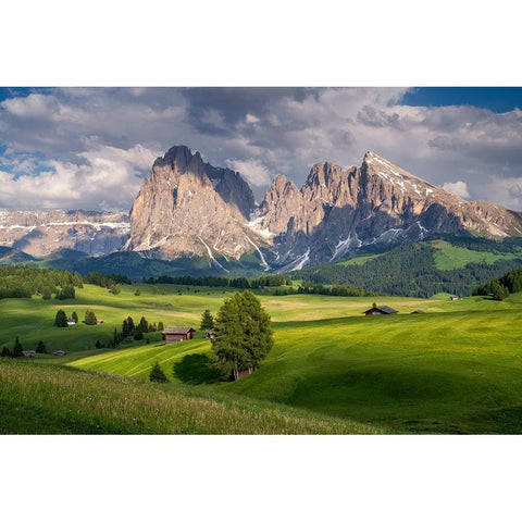 Europe-Italy-South Tirol-Alpine meadows with the Sasso Lungo and Sasso Piatto Mountains Black Modern Wood Framed Art Print by Jaynes Gallery