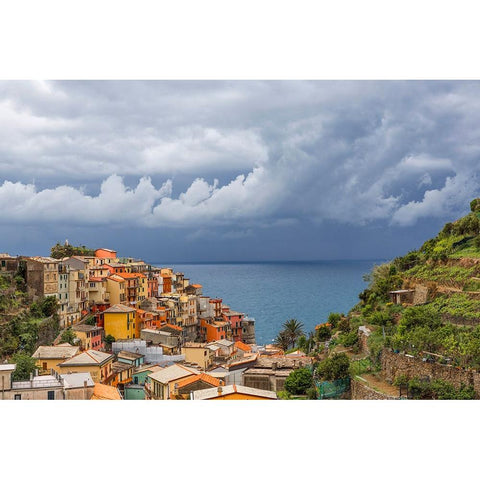 Europe-Italy-Manarola-Landscape with town and ocean White Modern Wood Framed Art Print by Jaynes Gallery