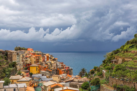 Europe-Italy-Manarola-Landscape with town and ocean Black Ornate Wood Framed Art Print with Double Matting by Jaynes Gallery