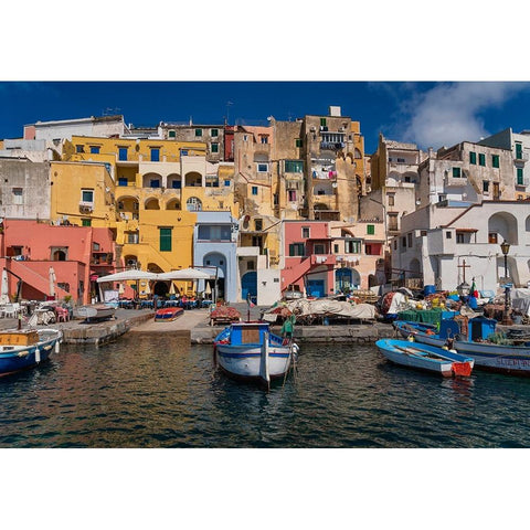 Europe-Italy-Procida-City houses and boats in Marina Corricella Black Modern Wood Framed Art Print by Jaynes Gallery