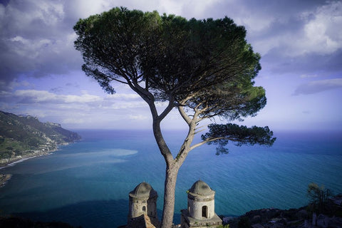 Europe-Italy-Ravello-Cypress tree and church domes overlook ocean Black Ornate Wood Framed Art Print with Double Matting by Jaynes Gallery