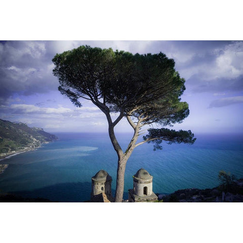 Europe-Italy-Ravello-Cypress tree and church domes overlook ocean Black Modern Wood Framed Art Print by Jaynes Gallery