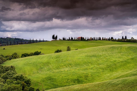 Europe-Italy-Tuscany-Val d Orcia-Farmland under stormy sky Black Ornate Wood Framed Art Print with Double Matting by Jaynes Gallery