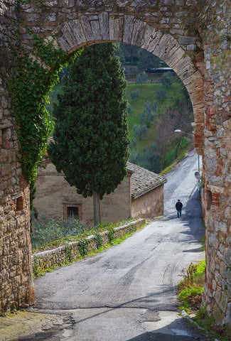 Europe-Italy-Tuscany-Val d Orcia-Lone person walking on rural road Black Ornate Wood Framed Art Print with Double Matting by Jaynes Gallery