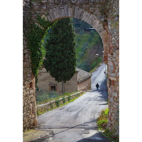 Europe-Italy-Tuscany-Val d Orcia-Lone person walking on rural road Black Modern Wood Framed Art Print by Jaynes Gallery