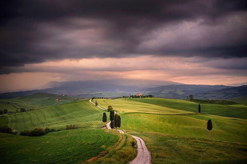 Europe-Italy-Tuscany-Val dOrcia-Road through farming landscape White Modern Wood Framed Art Print with Double Matting by Jaynes Gallery