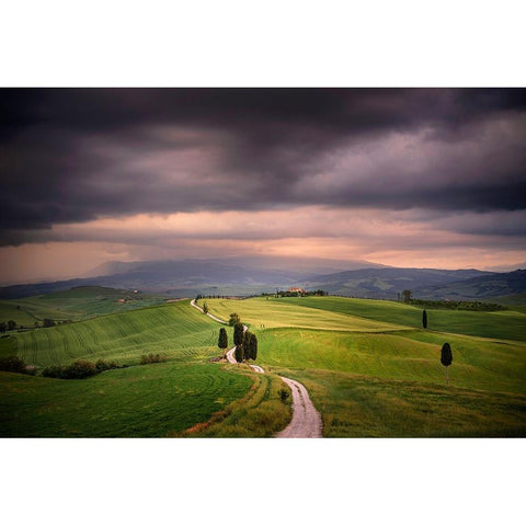 Europe-Italy-Tuscany-Val dOrcia-Road through farming landscape Black Modern Wood Framed Art Print by Jaynes Gallery