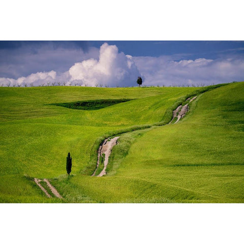 Europe-Italy-Tuscany-Val d Orcia-Cypress tree and winding road in farmland hills Black Modern Wood Framed Art Print by Jaynes Gallery