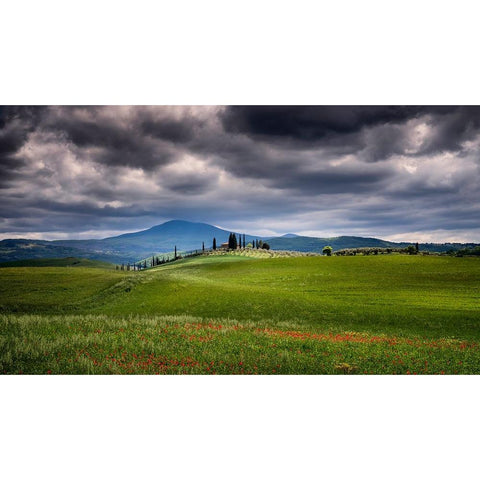 Europe-Italy-Tuscany-Val d Orcia-Farmland under stormy sky Black Modern Wood Framed Art Print by Jaynes Gallery
