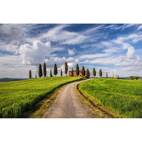 Europe-Italy-Tuscany-Val d Orcia-Road to Il Cipressini farmhouse Black Modern Wood Framed Art Print by Jaynes Gallery