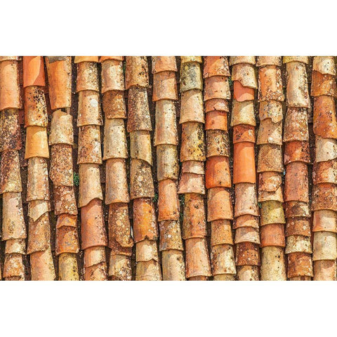 Palermo Province-Gangi Terracotta roof tiles in the town of Gangi in the mountains of Sicily Gold Ornate Wood Framed Art Print with Double Matting by Wilson, Emily