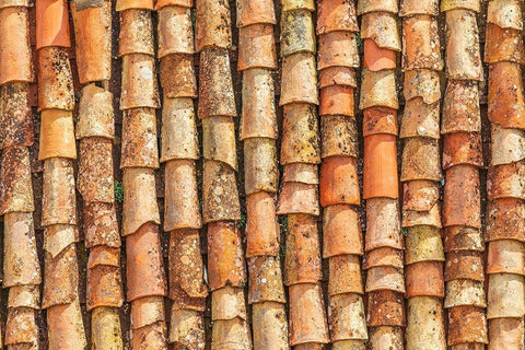 Palermo Province-Gangi Terracotta roof tiles in the town of Gangi in the mountains of Sicily Black Ornate Wood Framed Art Print with Double Matting by Wilson, Emily