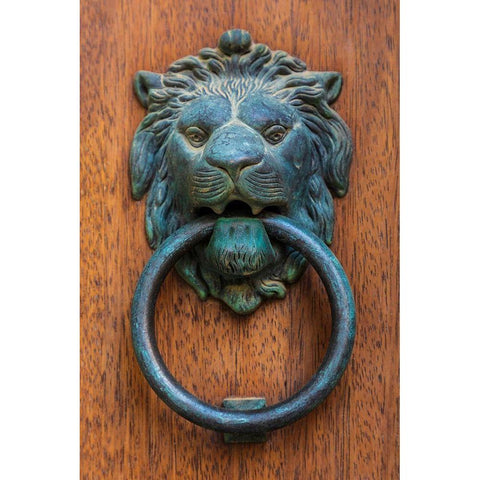 Messina Province-Caronia A bronze door knocker in the shape of a lion-in the medieval town Black Modern Wood Framed Art Print by Wilson, Emily