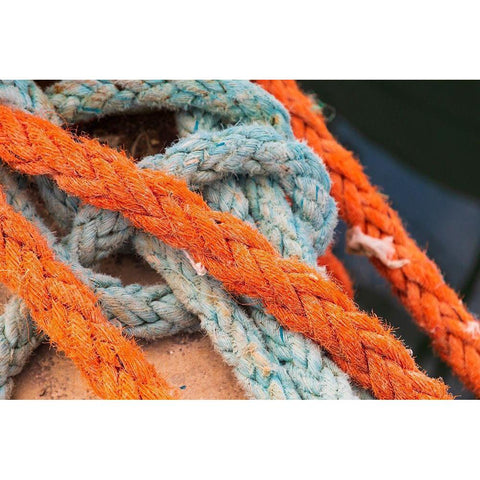 Agrigento Province-Sciacca Ropes on a fishing boat in the harbor of Sciacca Black Modern Wood Framed Art Print by Wilson, Emily