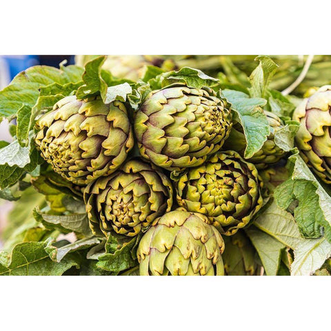 Trapani Province-Trapani Artichokes for sale at the market in Trapani Gold Ornate Wood Framed Art Print with Double Matting by Wilson, Emily